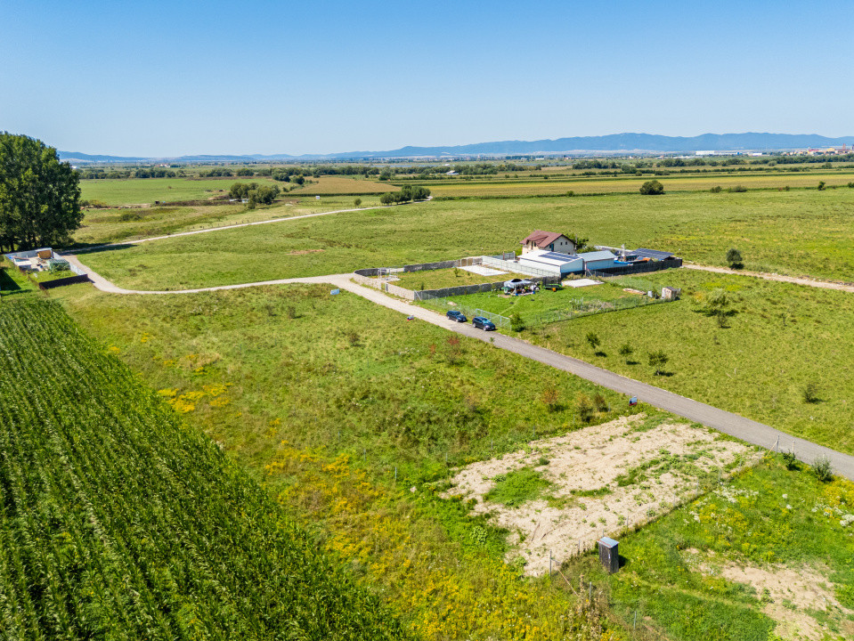 Teren pretabil construcție rezidențială – Sânpetru