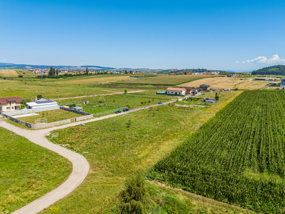 Teren pretabil construcție rezidențială – Sânpetru