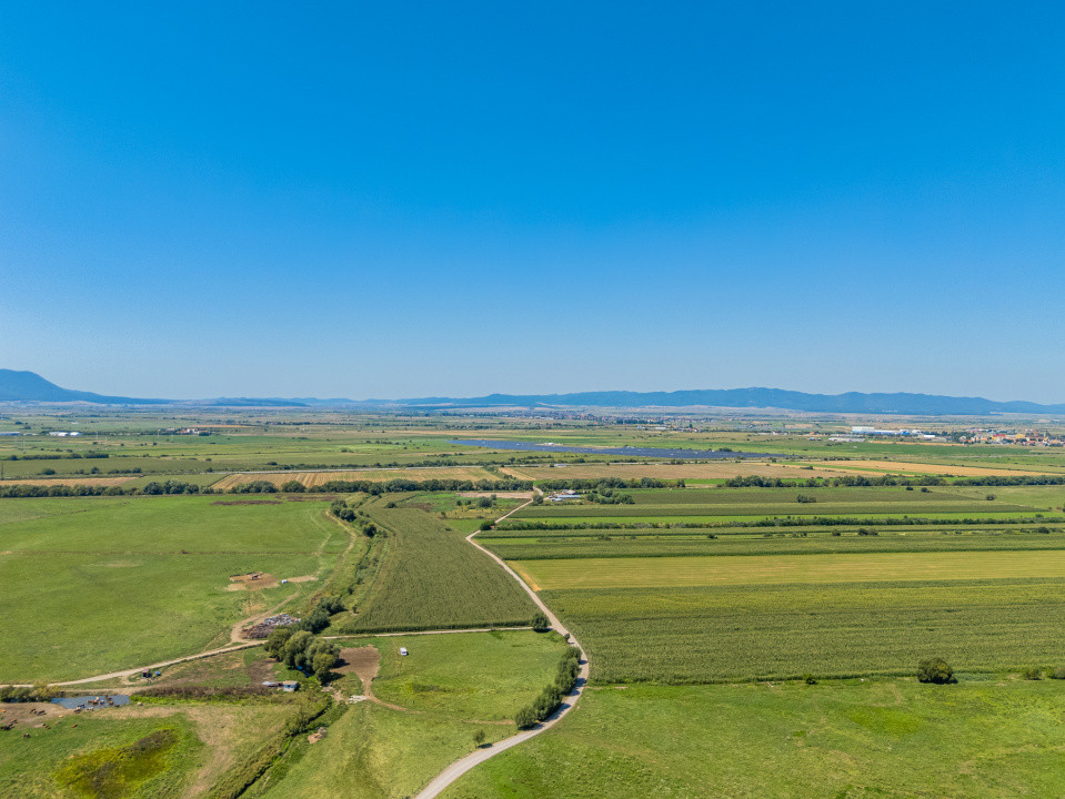 Teren pretabil construcție rezidențială – Sânpetru